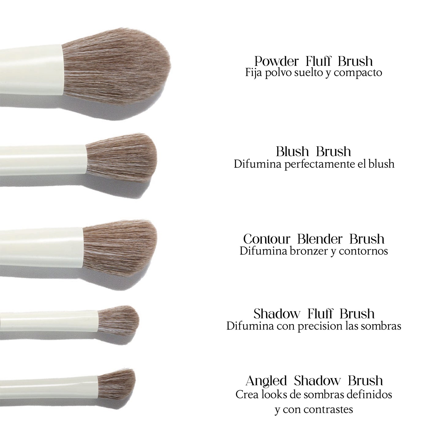 The Leah Signature 10 pieces - Face & Eye Brush Set